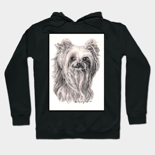 Yorkshire Terrier Hoodie